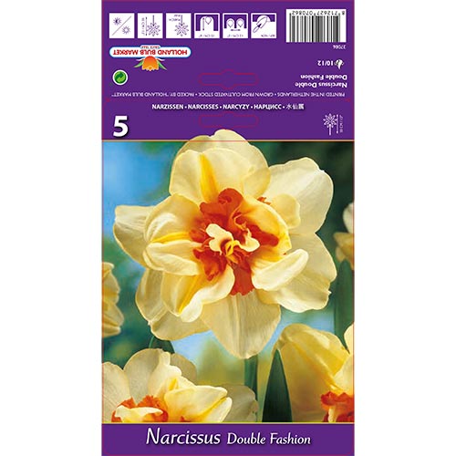 5 Stück, Narzisse Double Fashion - Blumenzwiebeln: Ilość w opakowaniu: 5 Stück