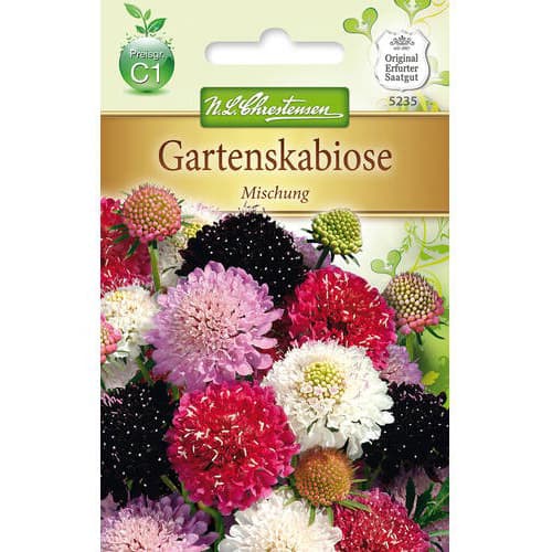 1 szt, Gartenscabiose Mischung - Samen: Ilość w opakowaniu: 1 Stück