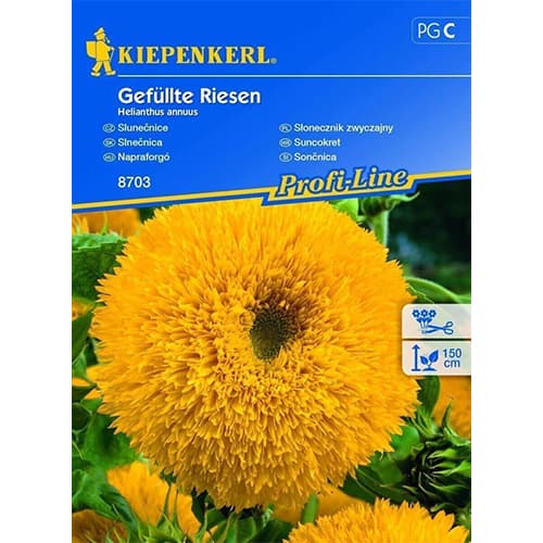 1 szt, Sonnenblume Gefüllte Riesen Kiepenkerl - Samen: Ilość w opakowaniu: 1 Stück