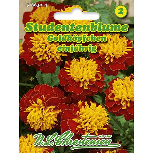 1 szt, Studentenblume Goldköpfchen - Samen: Ilość w opakowaniu: 1 Stück