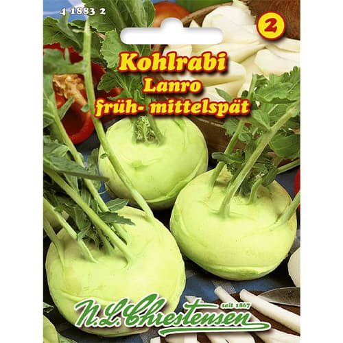1 szt, Kohlrabi Lanro - Samen: Ilość w opakowaniu: 1 Stück