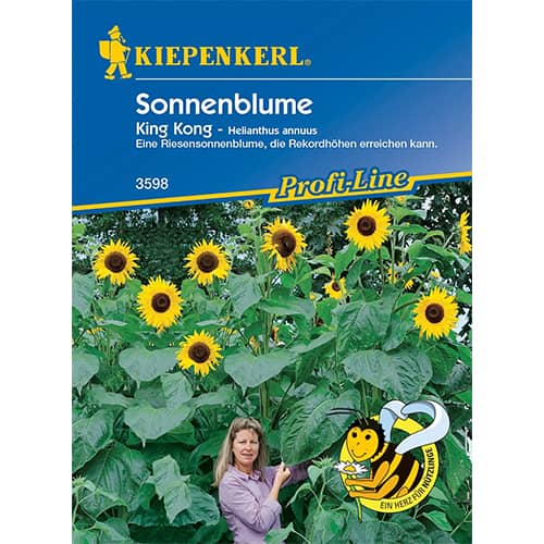 1 szt, Sonnenblume King Kong - Samen: Ilość w opakowaniu: 1 Stück