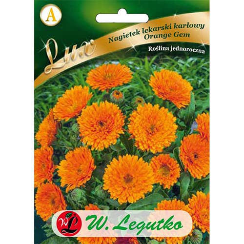 1 szt, Ringelblume Orange Gem - Samen: Ilość w opakowaniu: 2 g