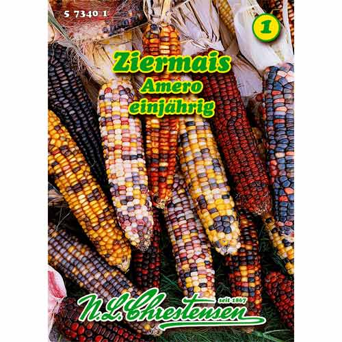 1 szt, Ziermais Amero - Samen: Ilość w opakowaniu: 1 Stück