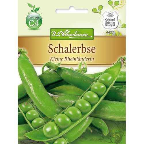 1 szt, Schalerbse Kleine Rheinlanderin - Samen: Ilość w opakowaniu: 1 Stück