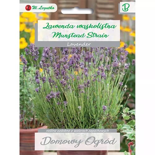 1 szt, Duft - Lavendel Mustead Strain - Samen: Ilość w opakowaniu: 0.2 g