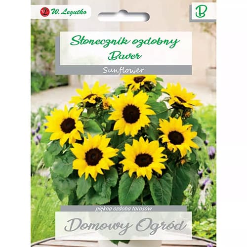 1 szt, Sonnenblume Baver - Samen: Ilość w opakowaniu: 2 g