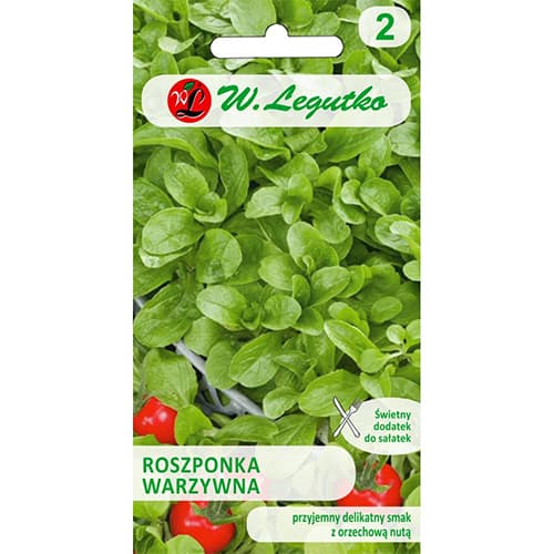 1 szt, Feldsalat Verte de Cambrai Legutko - Samen: Ilość w opakowaniu: 2 g