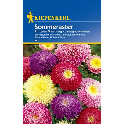 1 szt, Sommeraster Prinzess Mischung - Samen: Ilość w opakowaniu: 1 Stück