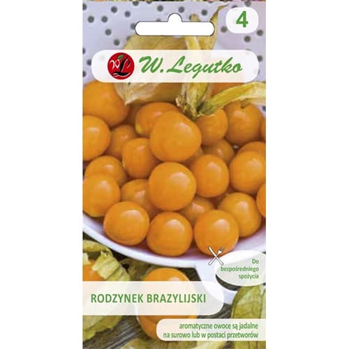 1 szt, Physalis Legutko - Samen: Ilość w opakowaniu: 0.2 g