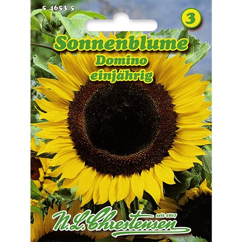 1 szt, Sonnenblume Domino - Samen: Ilość w opakowaniu: 1 Stück