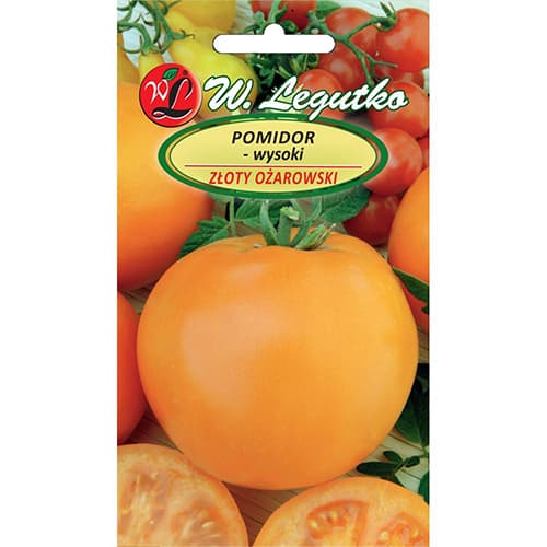 1 szt, Tomate Zloty Ozarowski - Samen: Ilość w opakowaniu: 0.5 g