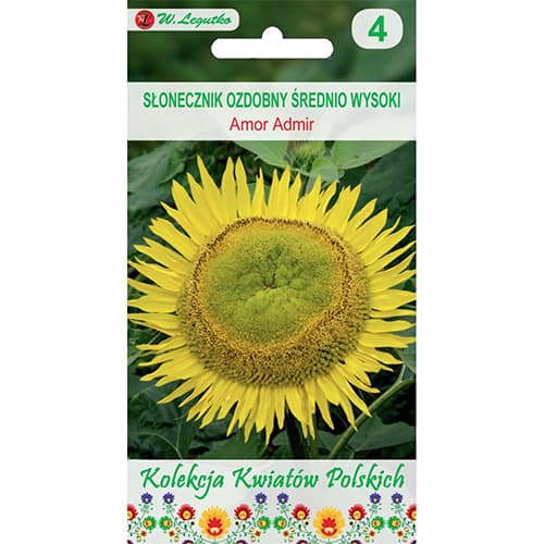 1 szt, Sonnenblume Amor Admir - Samen: Ilość w opakowaniu: 2 g