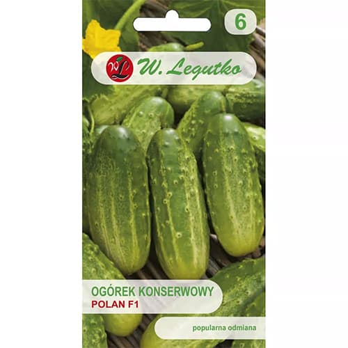 1 szt, Gurke Polan F1 - Samen: Ilość w opakowaniu: 5 g