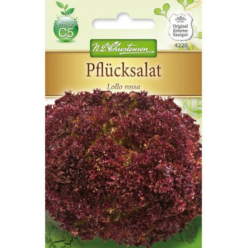 1 szt, Pflücksalat Lollo Rossa - Samen: Ilość w opakowaniu: 1 Stück