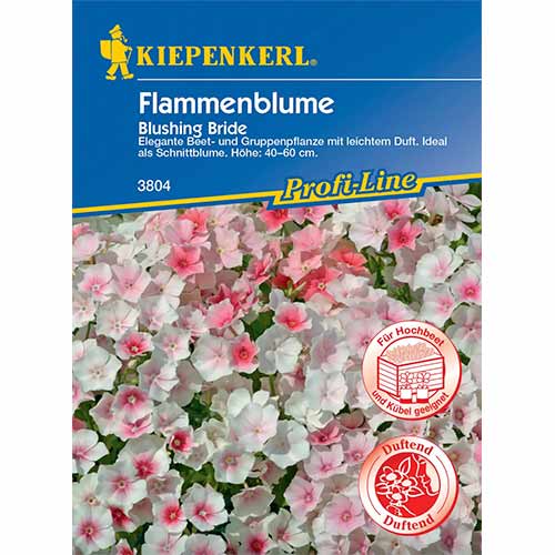 1 szt, Flammenblume Blushing Bride - Samen: Ilość w opakowaniu: 1 Stück