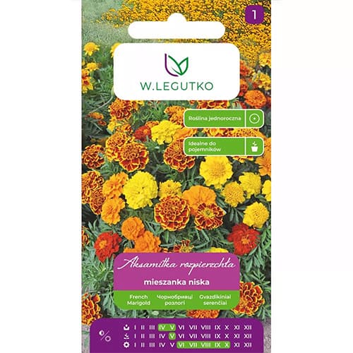 1 szt, Studentenblume Mischung - Samen: Ilość w opakowaniu: 0.5 g