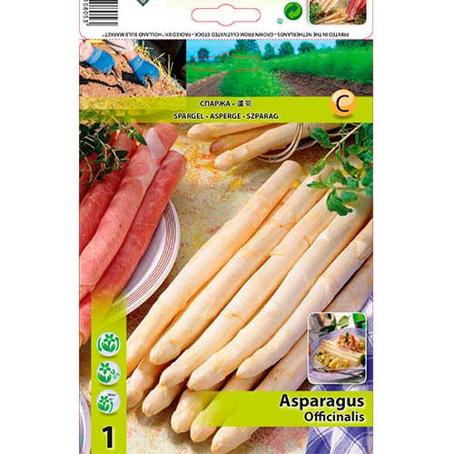 1 szt, Spargel (Asparagus) - Samen: Ilość w opakowaniu: 1 Stück