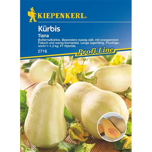 1 szt, Kürbis Tiana F1 - Samen: Ilość w opakowaniu: 1 Stück