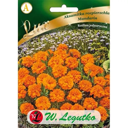 1 szt, Studentenblume Mandarin orange - Samen: Ilość w opakowaniu: 0.5 g