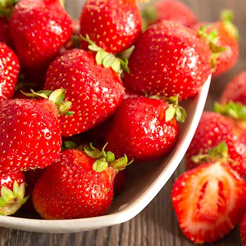 Fresa Polka - Plántulas: Ilość w opakowaniu: 5 plantas