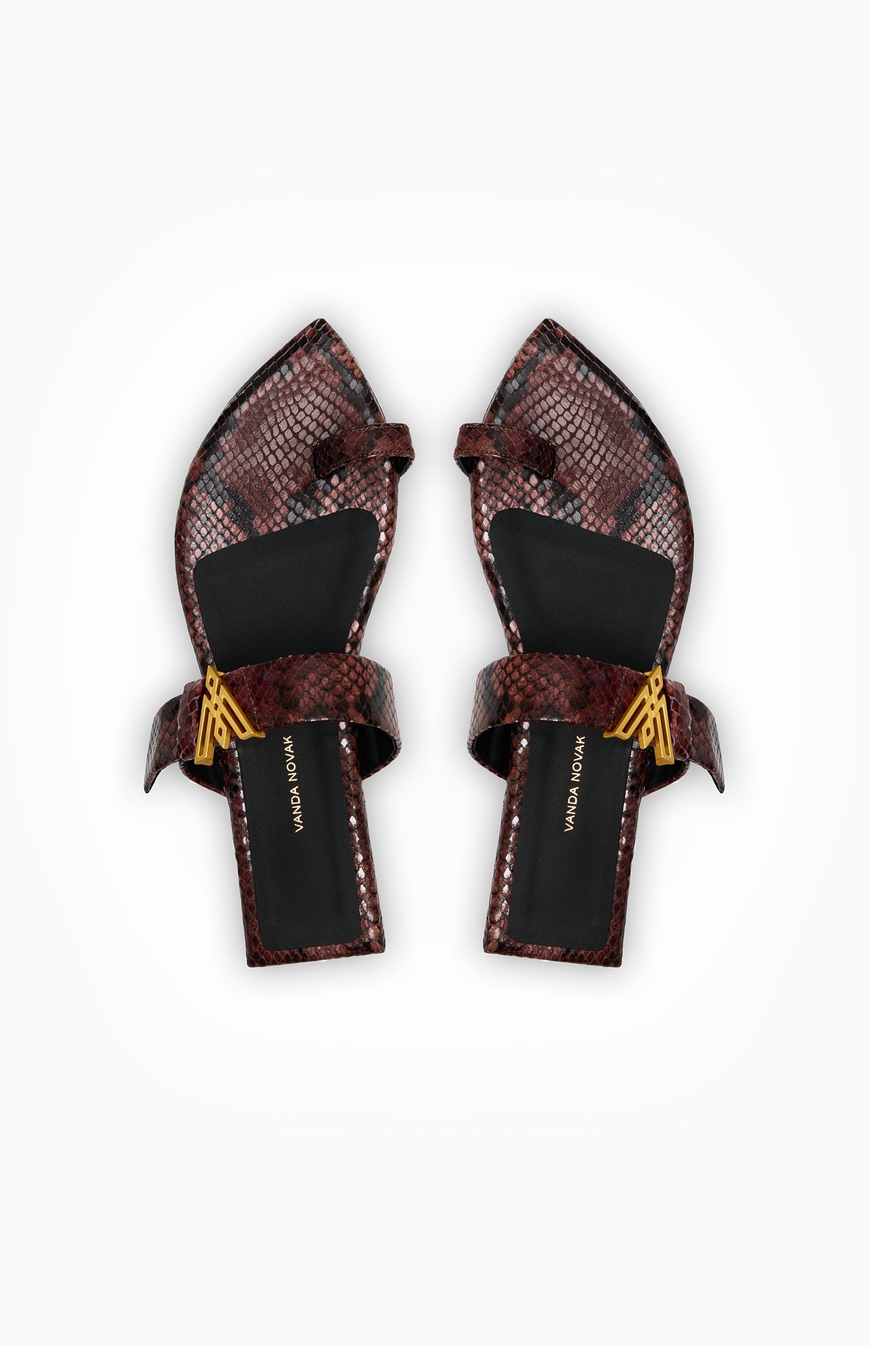 Klapki damskie DOLLY BROWN PYTHON 38 - Vanda Novak