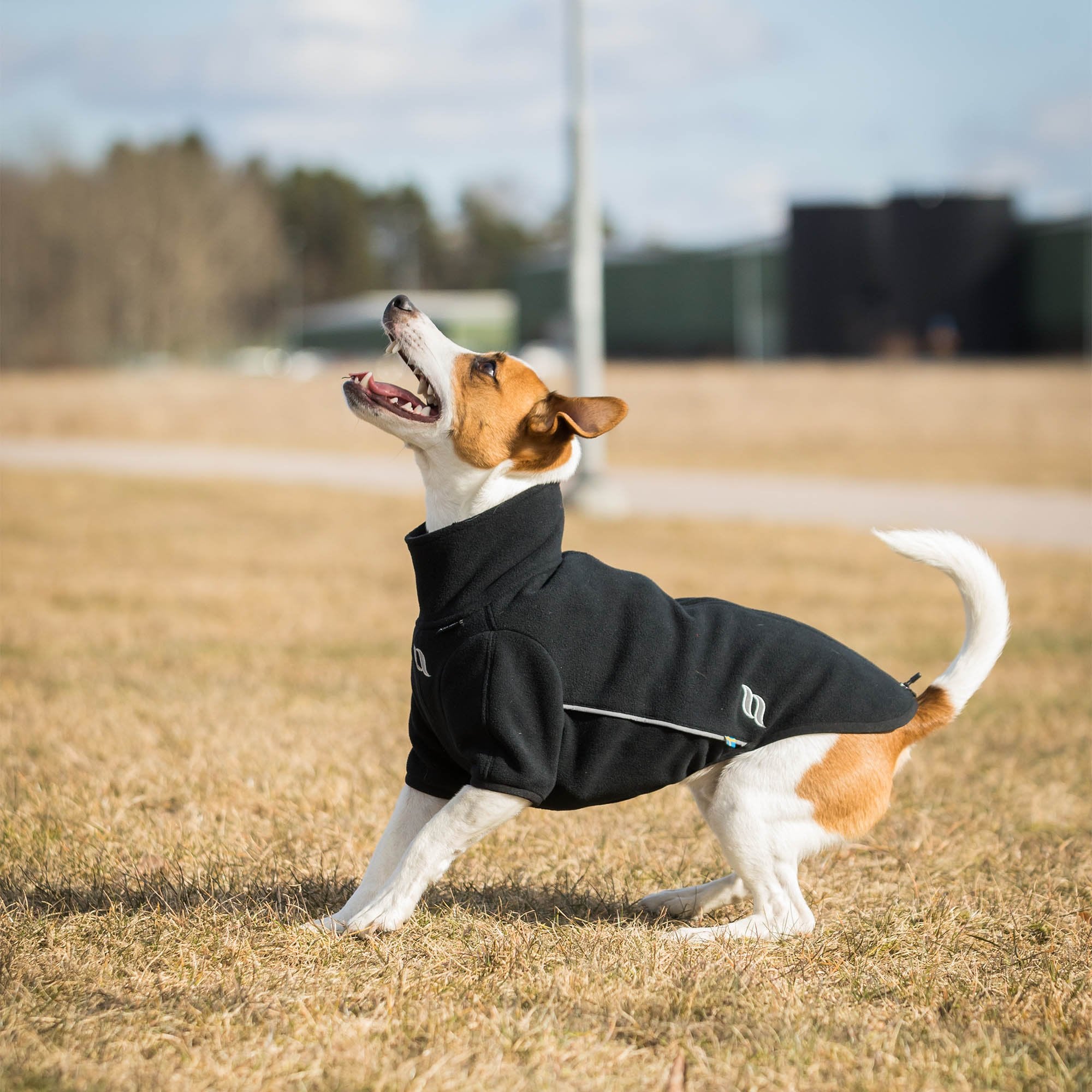 Back on Track Back on Track Cassie polarowa kurtka dla psa 24h