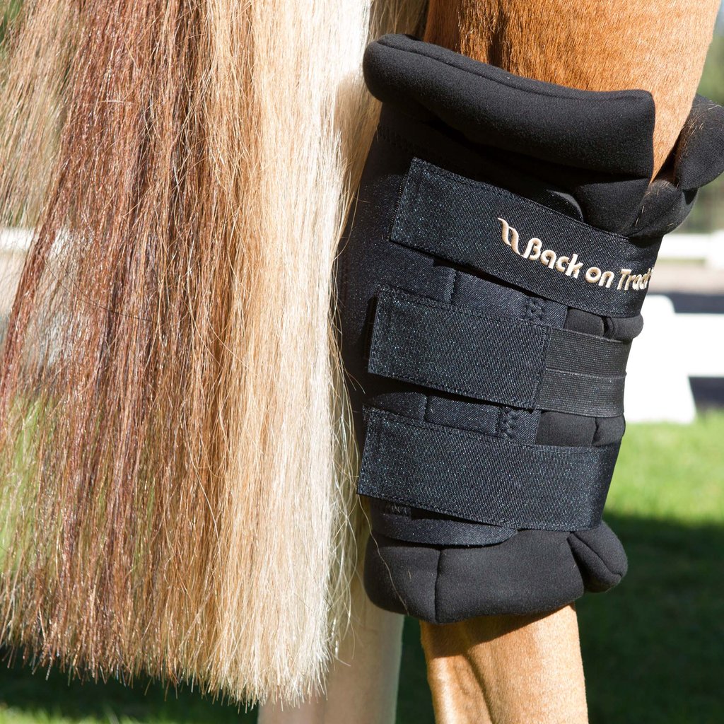 Back on Track Back on Track ochraniacze na staw skokowy Royal, para 24h