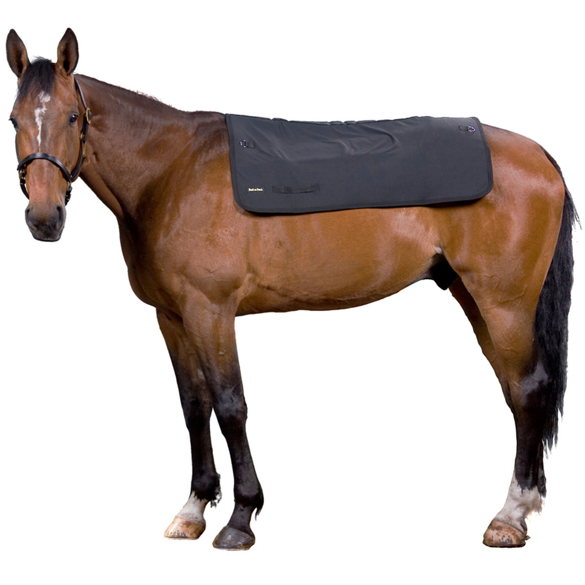 Back on Track Back on Track pad rozgrzewający