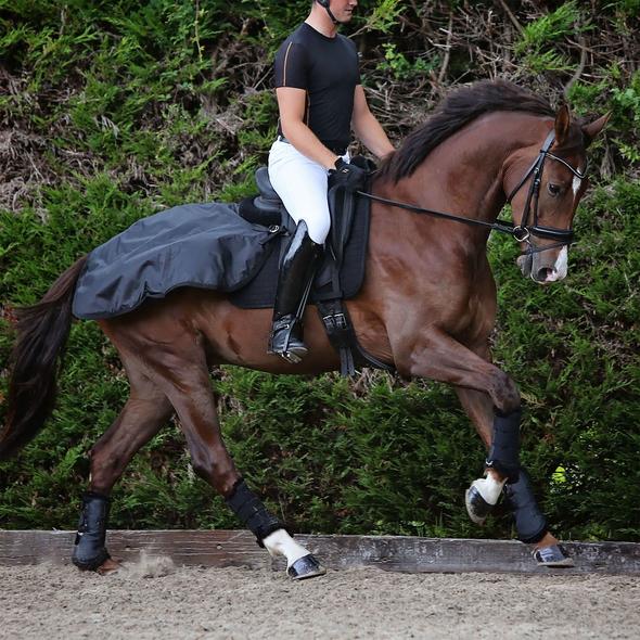 Back on Track Back on Track półderka treningowa