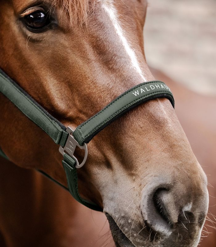 Waldhausen Waldhausen kantar Athletic 24h