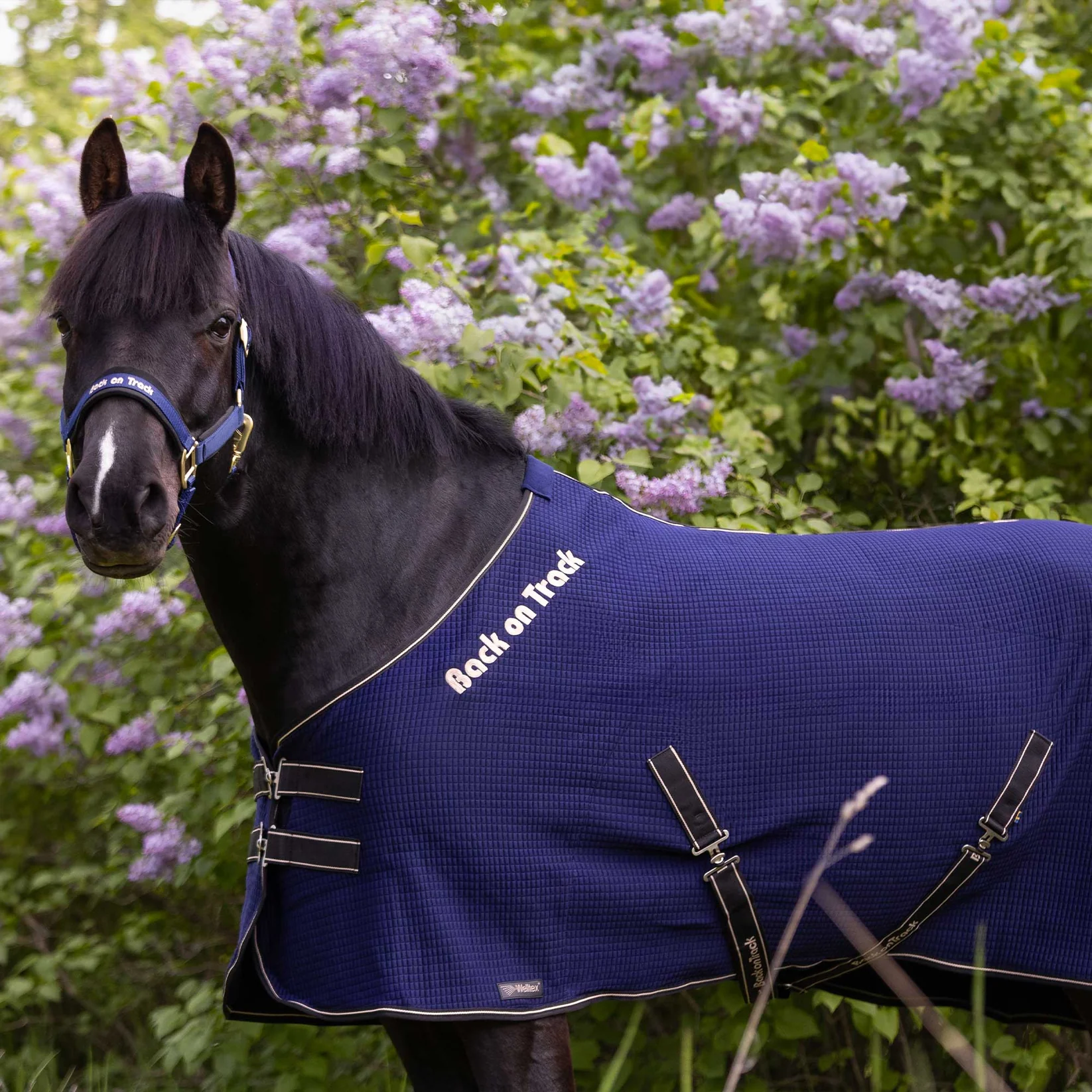 Back on Track Back on Track derka osuszająca Quick Cooler