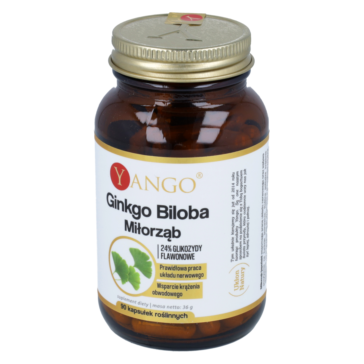 Yango ginkgo biloba (miłorząb japoński), 90 kapsułek
