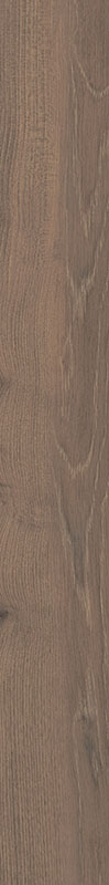 Paradyż Wildland płytka ścienno-podłogowa 14,8x119,8 cm STR ciemny brązowy