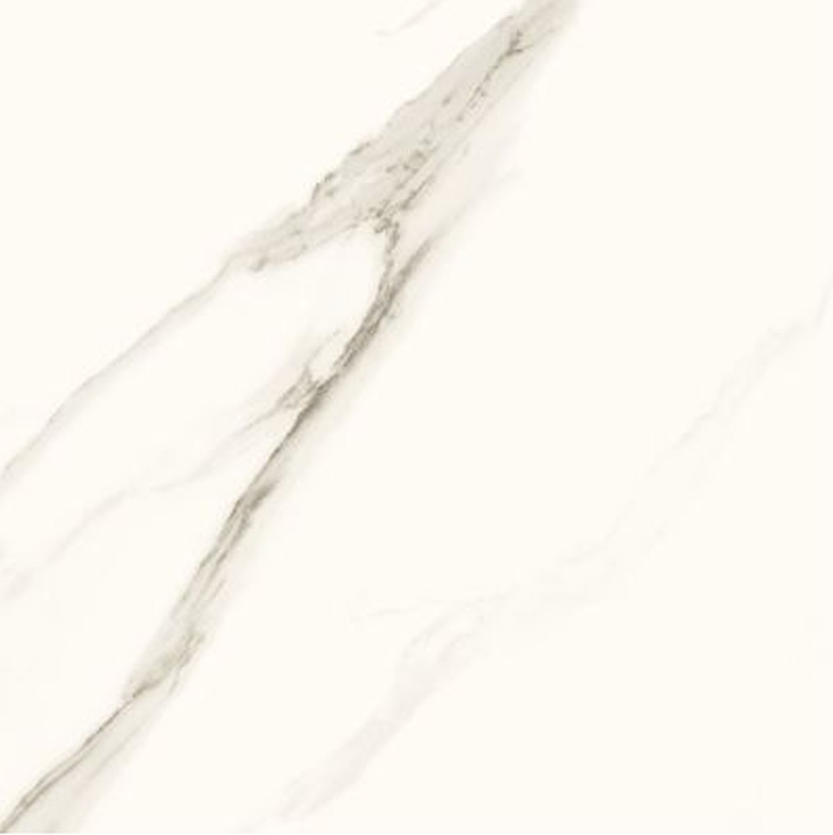 Paradyż Calacatta płytka ścienno-podłogowa 119,8x119,8 cm biała