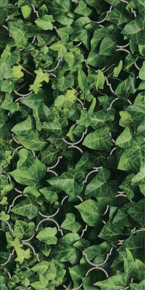 Paradyż Dream Inserto płytka ścienna 30x60 cm