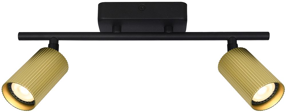 Italux Tris lampa podsufitowa 2x10 W złota SPL-46829-2-BK-GD