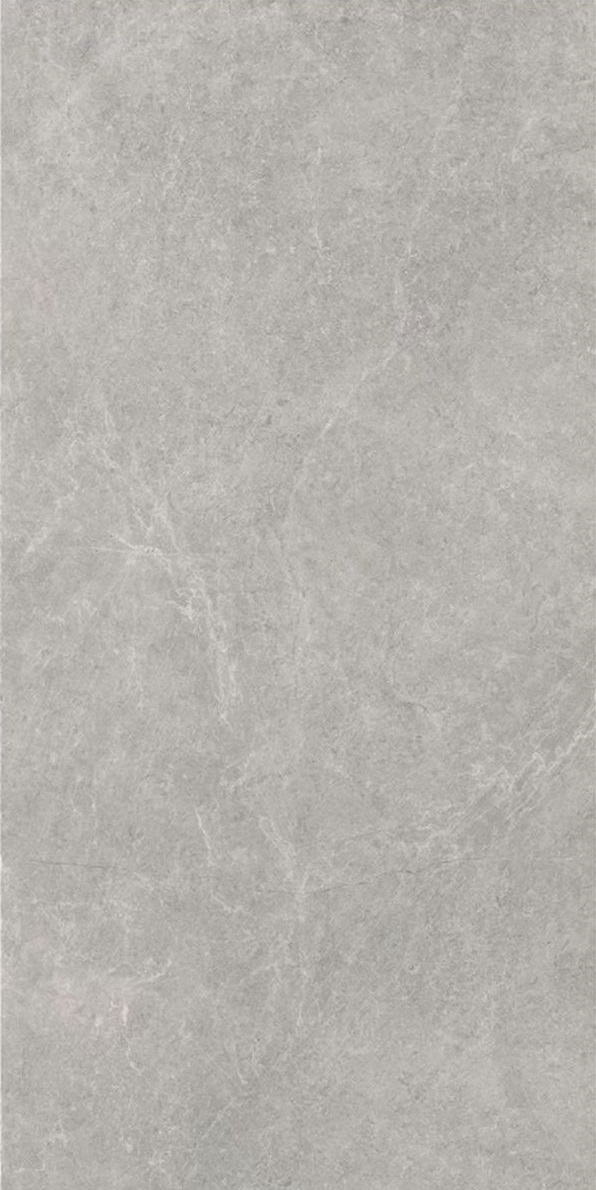 Paradyż U118 płytka ścienno-podłogowa 119,8x59,8 cm szara