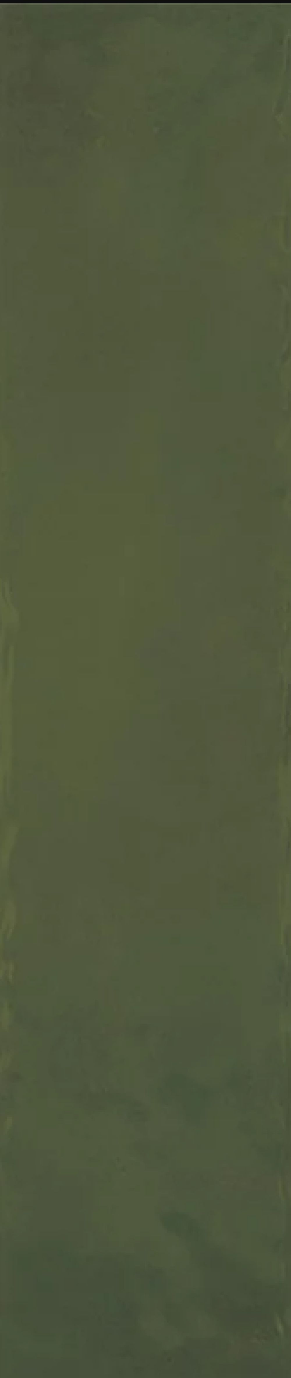 Paradyż Monpelli Olive płytka ścienna 29,8x6,5 cm zielona