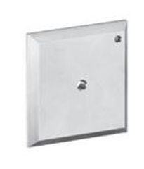 Hansgrohe iControl płytka do przepłukiwania 15956000