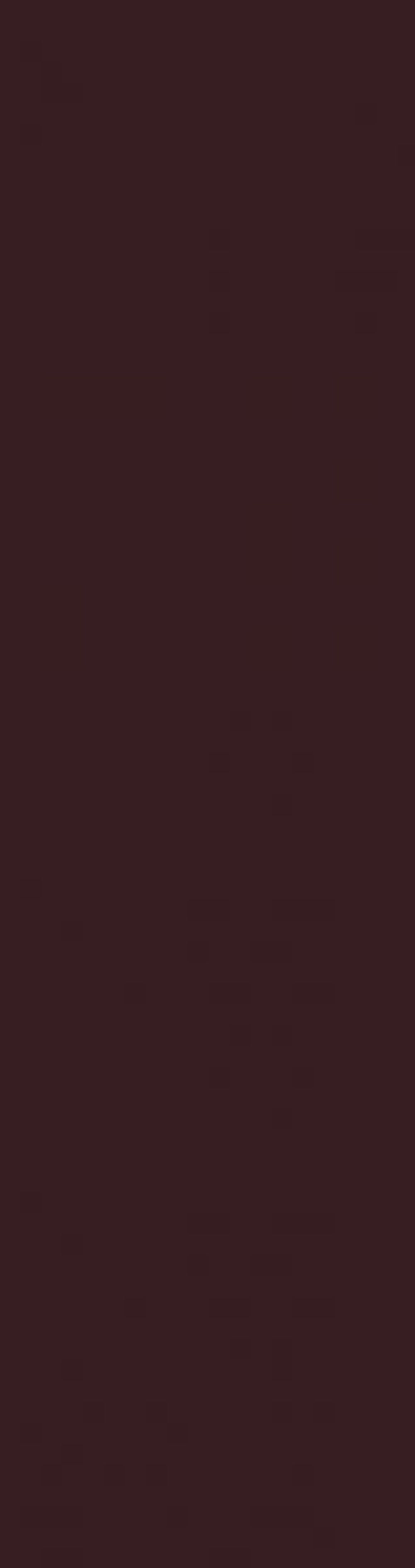 Paradyż Natural Brown płytka elewacyjna 24,5x6,6 cm brązowy mat