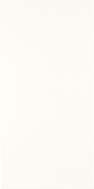 Paradyż Fiori płytka ścienna 30x60 cm biały poler