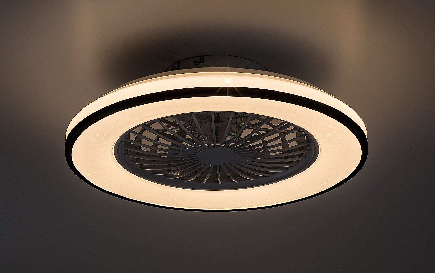 Rabalux Dalfon 2 plafon 1x48 W z wentylatorem biały-czarny 71331