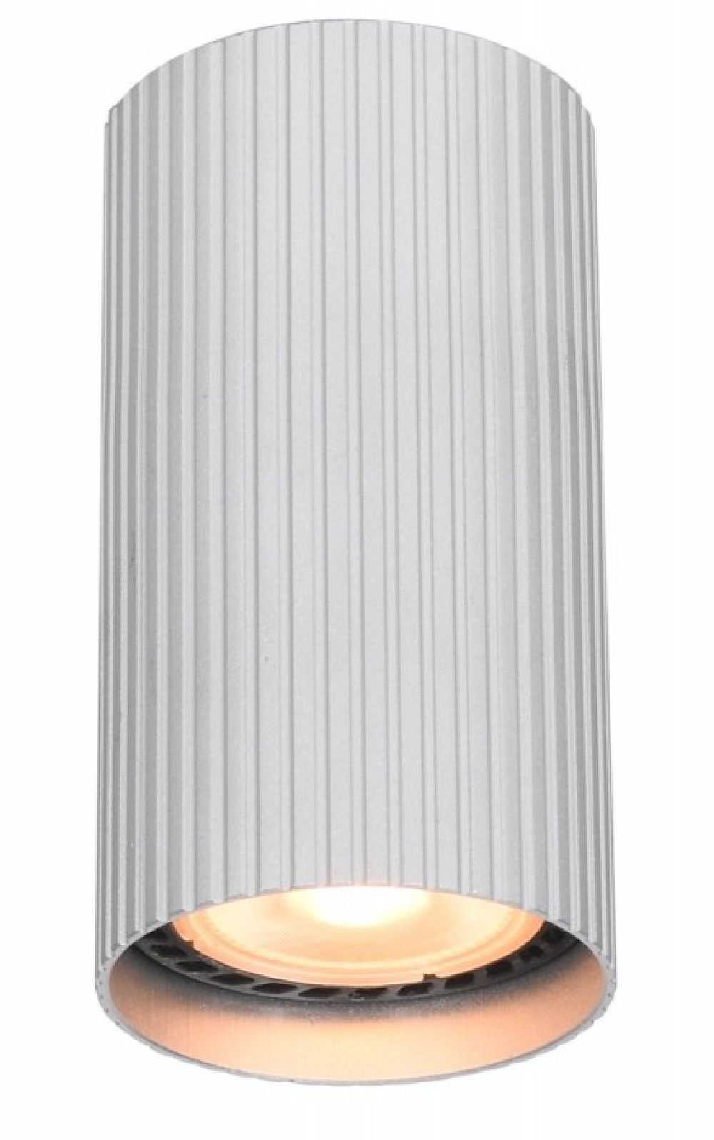 Italux Rilok lampa podsufitowa 1x10 W aluminium CLN-83920-S-ALU
