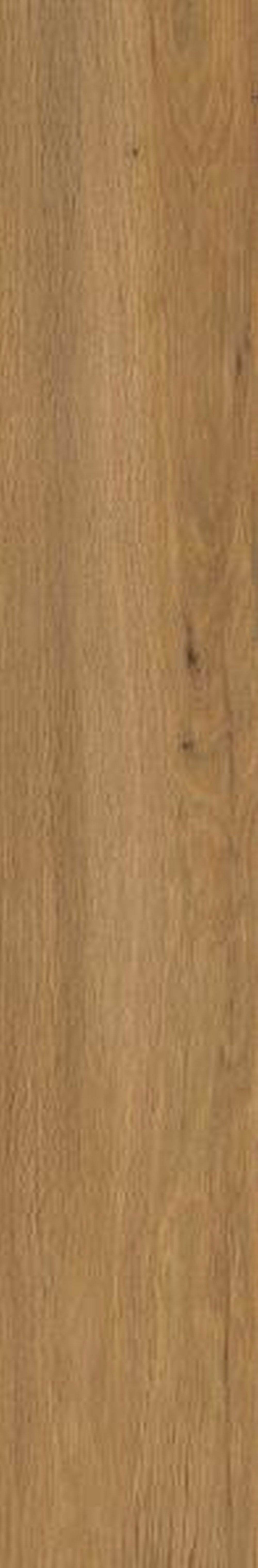 Paradyż Trueland płytka ścienno-podłogowa 19,8x119,8 cm