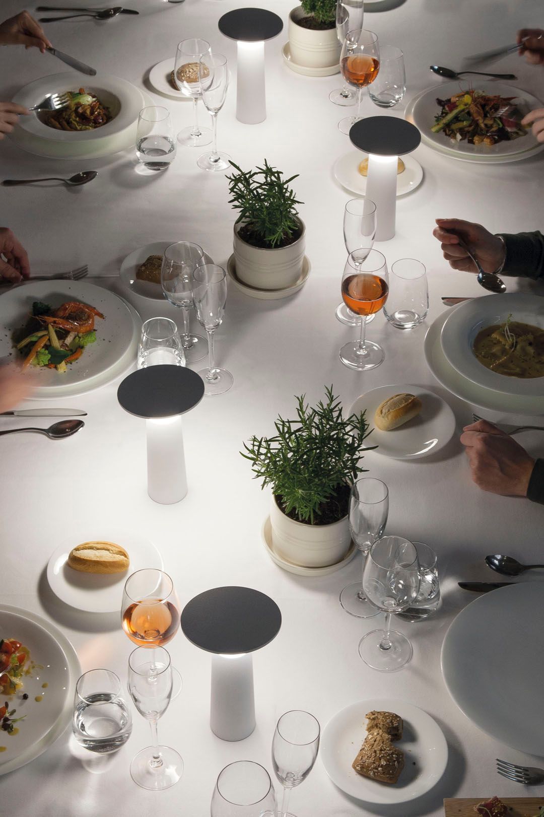 Leds C4 Cocktail lampa stołowa 1x3W LED biała 10-8327-14-14