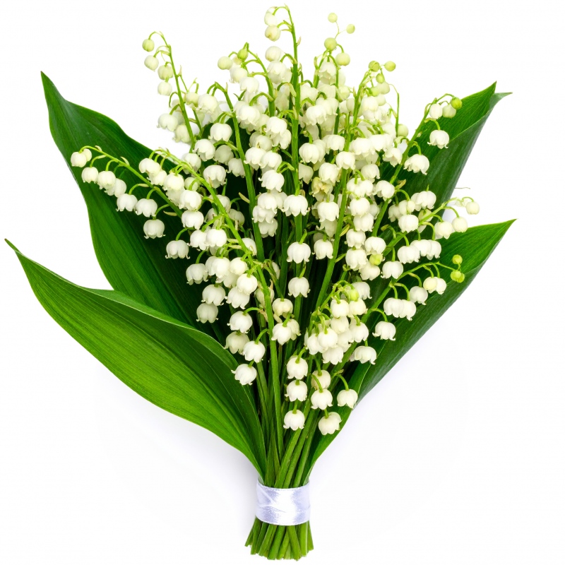 Bukiet konwalia