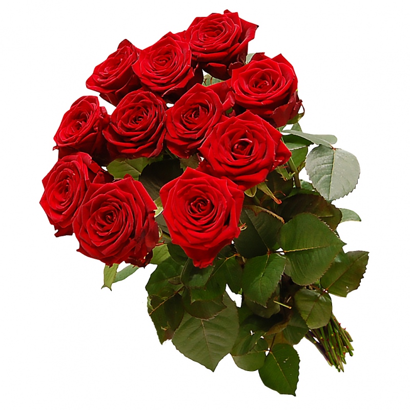 Bukiet 11 róż z dostawą - Poczta bukietowa - Kwiaciarnia internetowa - E-Kwiaty