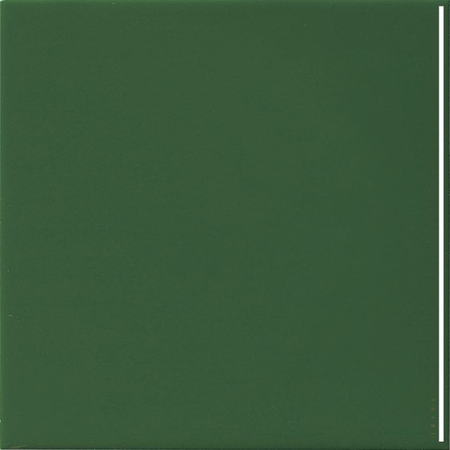 Płytka ścienna hiszpańska VA MONOCOLOR BOTELLA LISO błyszcząca 20x20