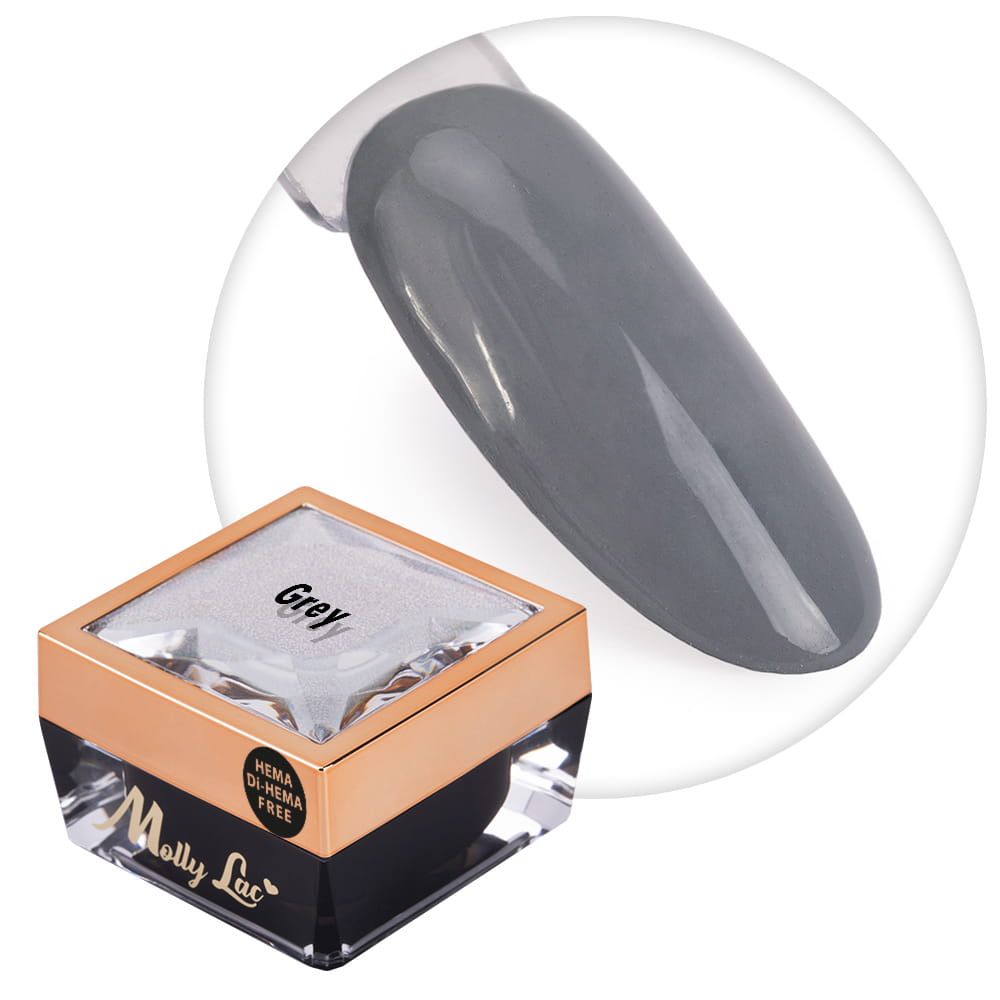 Żel do zdobień Ombre Gel paint gel ombre ornamenty MollyLac Grey HEMA/Di-HEMA Free Nr 10 5g